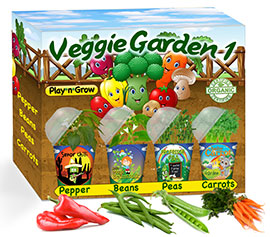 Vegetable Garden 1